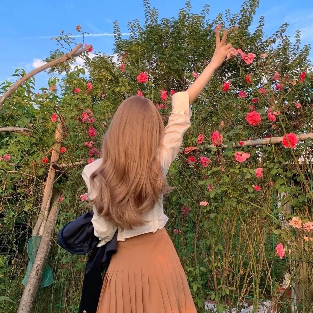 芭比之公主的冒险